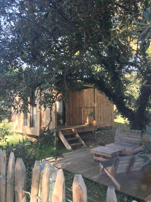 Ma Cabane Sous Les Arbres Сулак-сюр-Мер Экстерьер фото